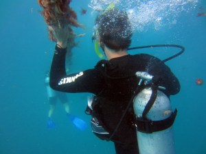 Pictures 006_exposure