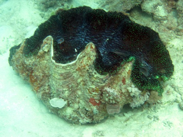 Pictures 021_exposure