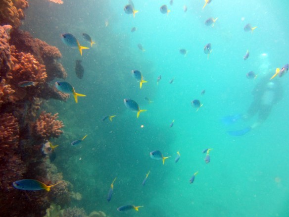 Pictures 036_exposure