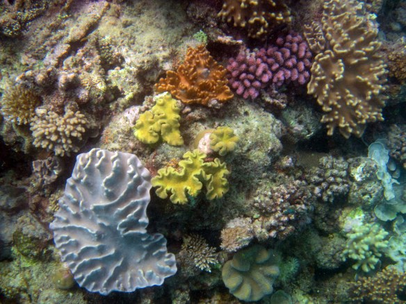 Pictures 059_exposure