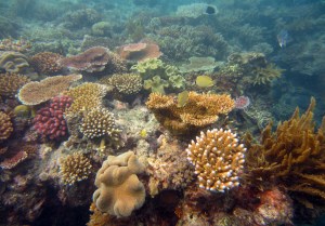 Pictures 075_exposure