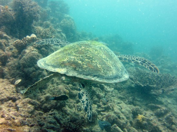 Pictures 099_exposure