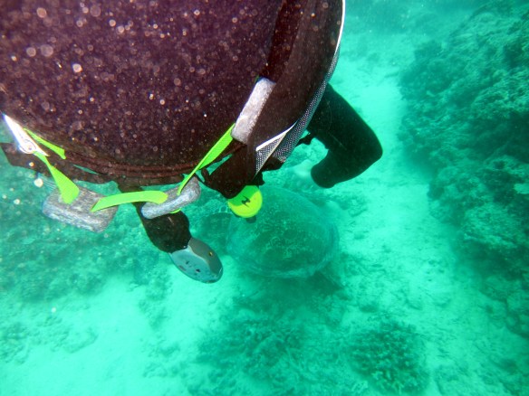 Pictures 108_exposure