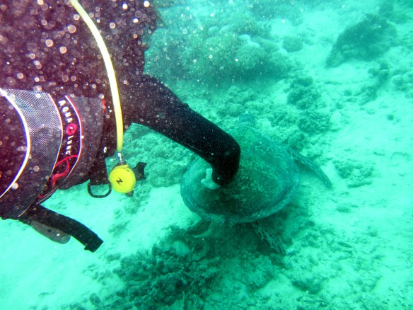 Pictures 109_exposure