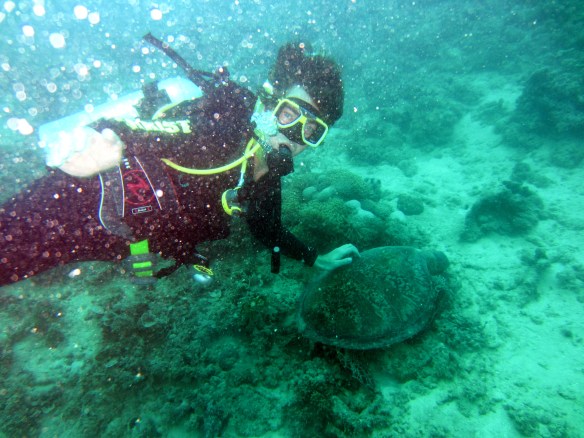 Pictures 110_exposure