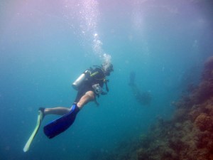 Pictures 196_exposure