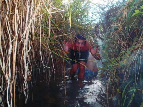 560227_10150983159736122_1960150825_n