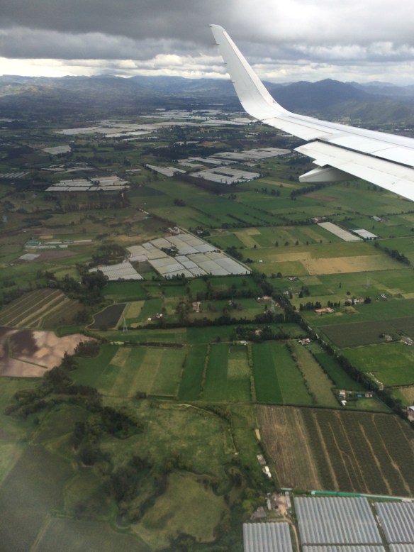 First views of South America