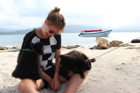 Tour guide Kate was a favourite with her spider monkey friends